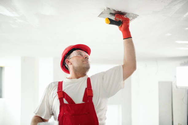 Best Crawl Space Mold Remediation  in College Station, TX